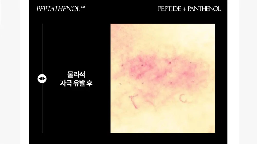 [급속 쿨링&진정] 어나더페이스 펩타테놀 수분 밸런스 모델링 팩 28g 상세페이지 19